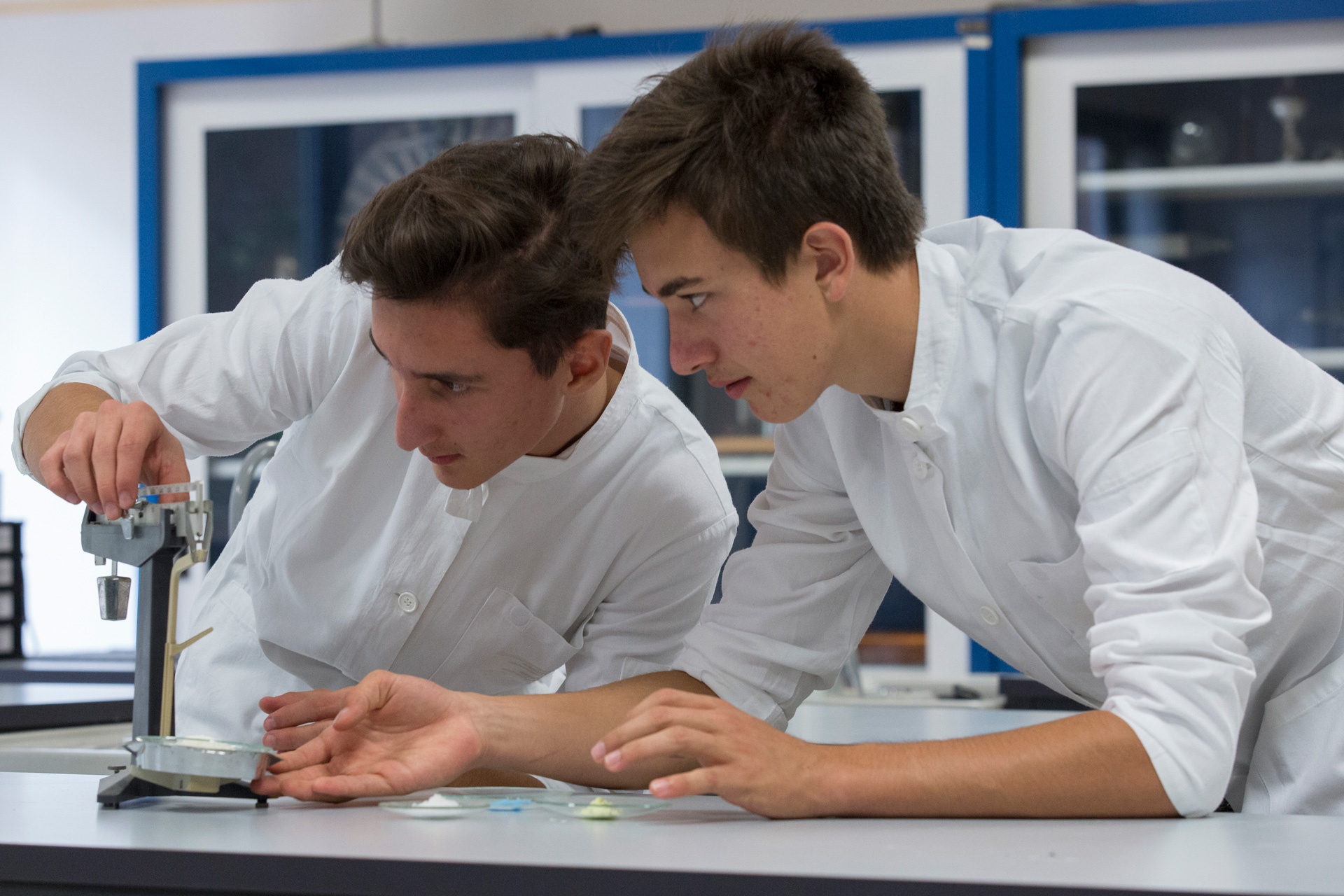 liceo scientifico • San Bernardino - Chiari • Scuola Paritaria